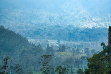 view from the mountain