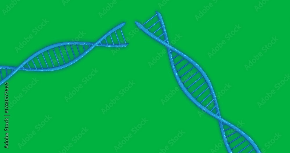 Canvas Prints animation of macro 3d blue dna strands spinning over transparent background