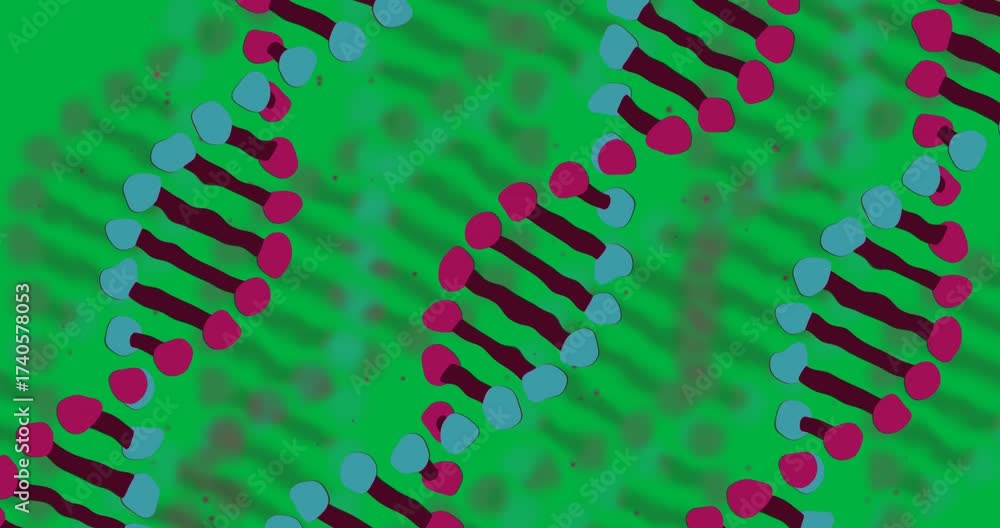 Wall mural animation of macro 3d blue and pink dna strand spinning over transparent background