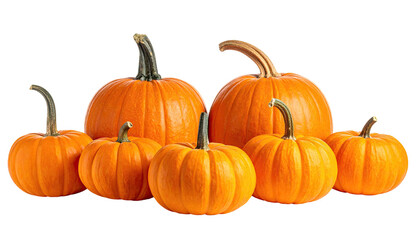 Group of pumpkins in various sizes,  bright orange,  with stems,  isolated on black background
