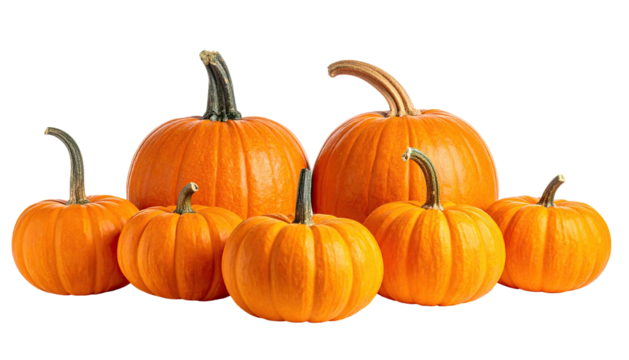 Group of pumpkins in various sizes,  bright orange,  with stems,  isolated on black background