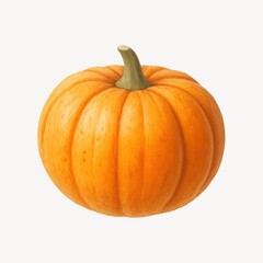 Fototapeta premium Vibrant autumn pumpkin illustration.