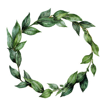 Delicate watercolor wreath of laurel leaves forming a rustic oval ring on transparent background