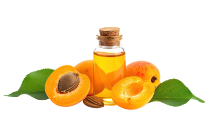 Apricot oil in a small glass bottle, with halved apricots and leaves