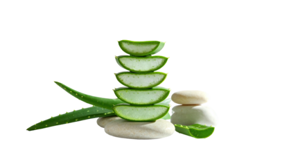 Aloe vera slices stacked on smooth stones, with leaves