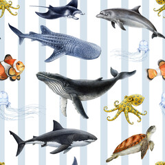 Australia marine life animals seamless pattern. Hand drawn great white shark, whale shark, humpback whale, green sea turtle, manta ray watercolor vintage style illustration on striped background