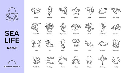Minimalist Sea Life Icons Collection with Editable Stroke