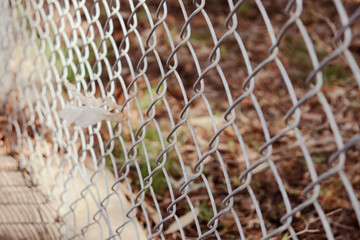chain link fence