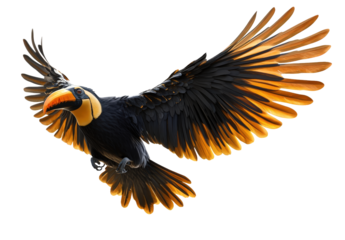 Striking toucan in midflight, isolated on transparent background, displaying its vibrant yellow and black plumage with wings outstretched in a dynamic pose