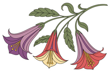 cantuta sacred flower