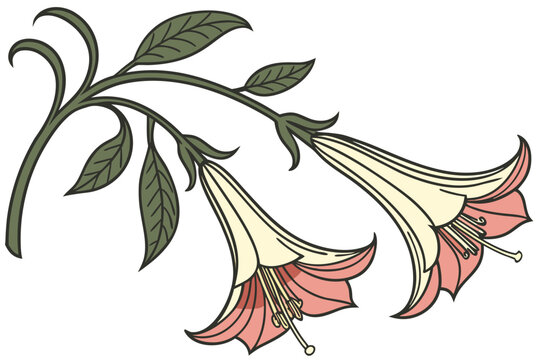 cantuta sacred flower