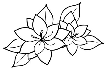 black and white flower