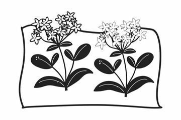 vector illustration of a floral background