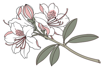 branch of a tree with leaves