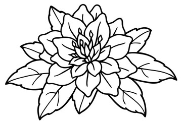 vector illustration of a flower