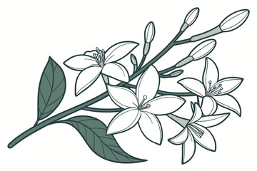 branch of a tree with leaves