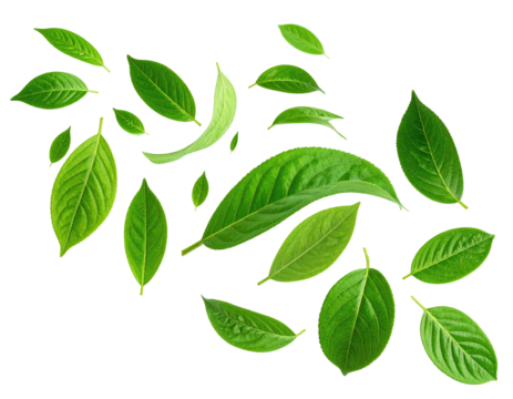 Vibrant green leaves scattered on a black background