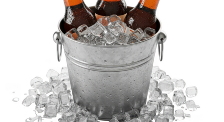 Chilled beverage bottles refreshing ice bucket party celebration beverage cooling presentation