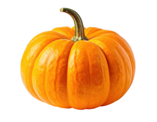 Single, ripe pumpkin, vibrant orange hue, smooth skin,  distinct ribbed texture,  stem attached