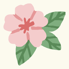 Hand-drawn cherry blossom flower vector illustration in pink tones