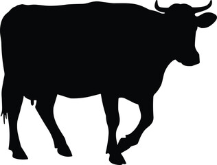 Cow silhouette standing and walking, black cattle illustration, rural livestock design, farm animal posture, agriculture concept, nature pasture, vector artwork