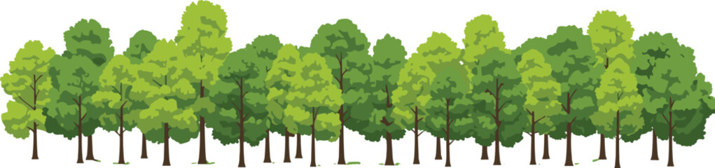 Row of green forest trees illustration, natural woodland landscape, eco friendly environment, leafy foliage collection, outdoor greenery design, vector isolated artwork