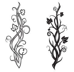 Decorative black and white vector illustrations of twisting vines with leafy elements for design