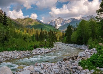 Clear mountain river winding through a green forest valley with rocky banks and snow-capped alpine peaks in the background under dramatic spring sky.
