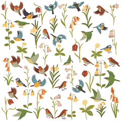 vector drawing set of flowers, plants and birds at white background, floral elements, hand drawn botanical illustration