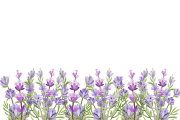 lavender floral garden in watercolor vector background. purple Abstract wallpaper design with flowers, wildflower, line art