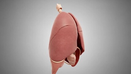 A swirling vortex of fire forming a tornado against a dark, black background. - Powered by Adobe