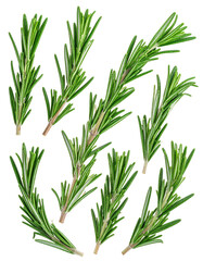 Close-up of fresh rosemary sprigs (3)