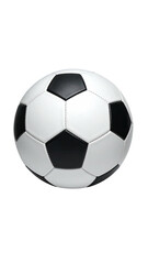 Obraz premium Soccer ball, black and white panels (1)