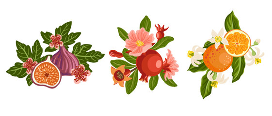 vector drawing composition with tropical fruits,flowers and green leaves, oranges,figs and pomegranates isolated at white background, hand drawn illustration