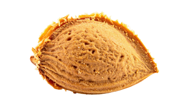 Close-up of a peach pit.  A single, light brownish-orange peach pit,  showing textured surface and slightly rough edges