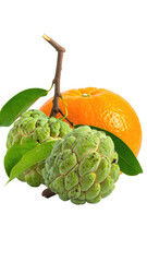 Orange and Custard Apple Fruits