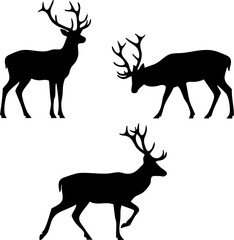 3 Types of Black Deer Shadows