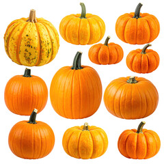 Assorted pumpkins in various sizes and colors