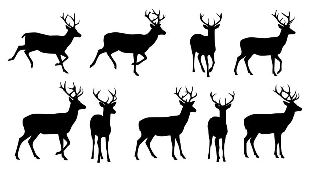 Vector art of a collection of eight majestic deer silhouettes, isolated on white background, showcasing various poses and antler configurations
