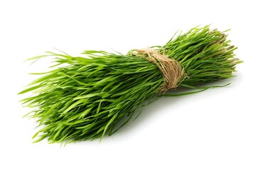 Fresh vibrant green wheatgrass bundle tied with rustic twine, perfect for health, wellness, and natural lifestyle concepts.