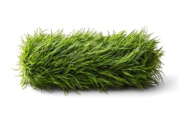 Vibrant green wheatgrass bundle, a symbol of natural health and organic vitality, perfect for wellness marketing and clean eating campaigns