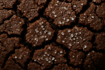 A gourmet macro photograph of a rich, dark chocolate cookie, its cracked surface beautifully detailed with sparkling sea salt crystals