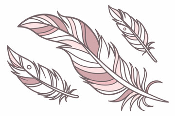 Obraz premium set of feathers