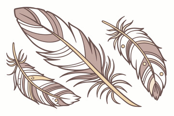 Obraz premium feather on white background