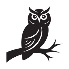 owl sitting on branch