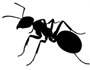 Silhouette of an ant