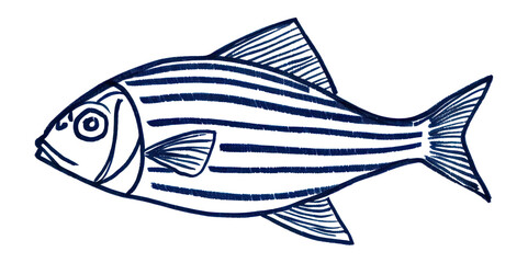 PNG Fish illustration blue line.