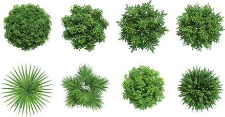 Top view plant icons, landscape design foliage, architectural greenery symbols, garden planning trees, urban vegetation illustration, decorative nature elements, vector set © Heyy