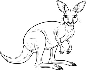 Detailed Kangaroo Line Art Illustration for Coloring and Educational Purposes.