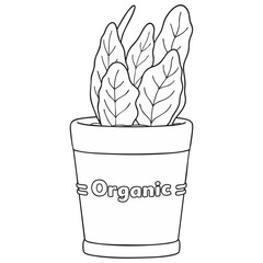 Simple Organic Potted Houseplant Outline Vector Illustration on White Background